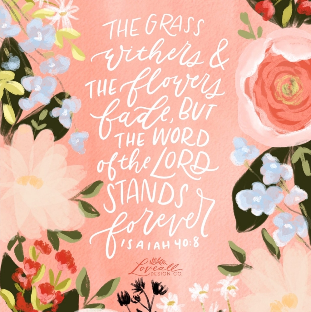 Meet your Posher, Cheyenne